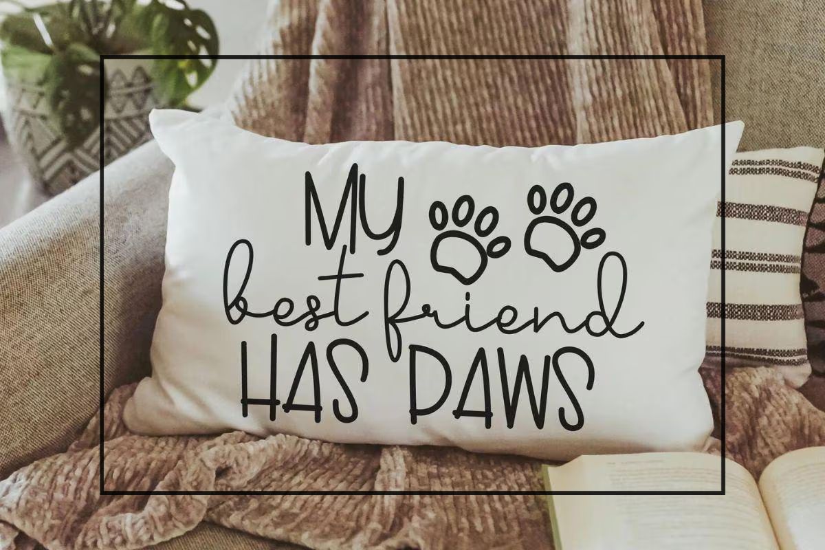My best friend has paws pillow