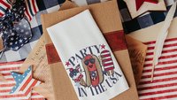 party in the USA 4th of July throw pillows for porch swing, American hot dog funny accent pillow covers 18x18, patriotic gifts for women