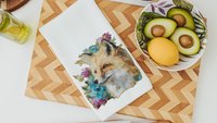 watercolor fox throw pillow for dorm, floral fox kitchen towels, college apartment decor, fox gifts for women, college gifts for girls, best