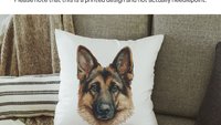 Bernese mountain dog throw pillows