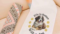 life is better with a dog tennis towel, Bernese mountain dog sweat towel with loop, best gifts for dog lovers, gym bag accessories, unique
