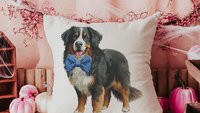 Bernese mountain dog throw pillows