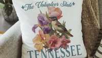 Tennessee throw pillows for couch colorful iris flower decorative pillows for sofa, real estate agent gifts, mockingbird bird lover gift