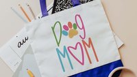 colorful dog paw print tote bag for dog lover, dog mom Mothers day gift from dog, cute tote shopping bag, trending now dog mama gifts, best