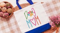 colorful cat paw print tote bag for cat lover, cat mom Mothers day gift from cat, cute tote shopping bag, trending now cat mama gifts, best