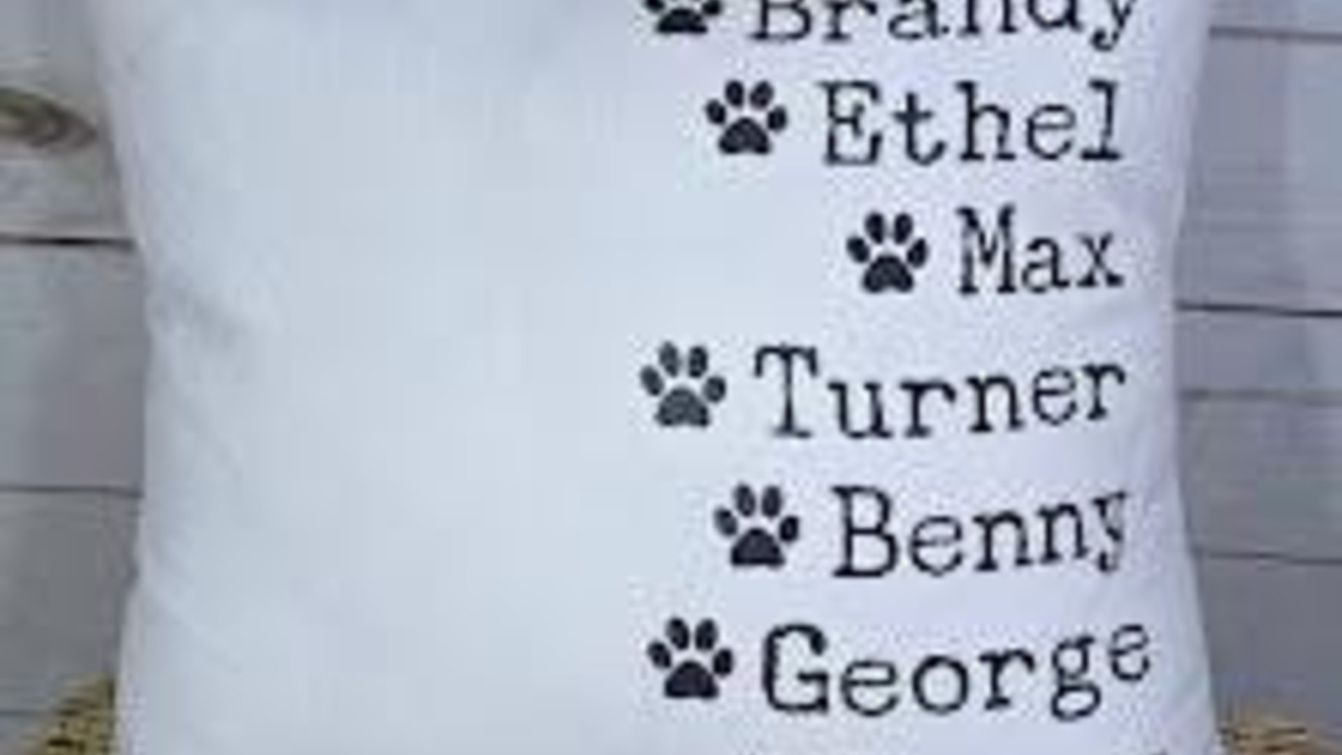 personalized family names throw pillow for couch, pet name pillow, unique wedding gifts for couple, dog parents gift, modern farmhouse decor