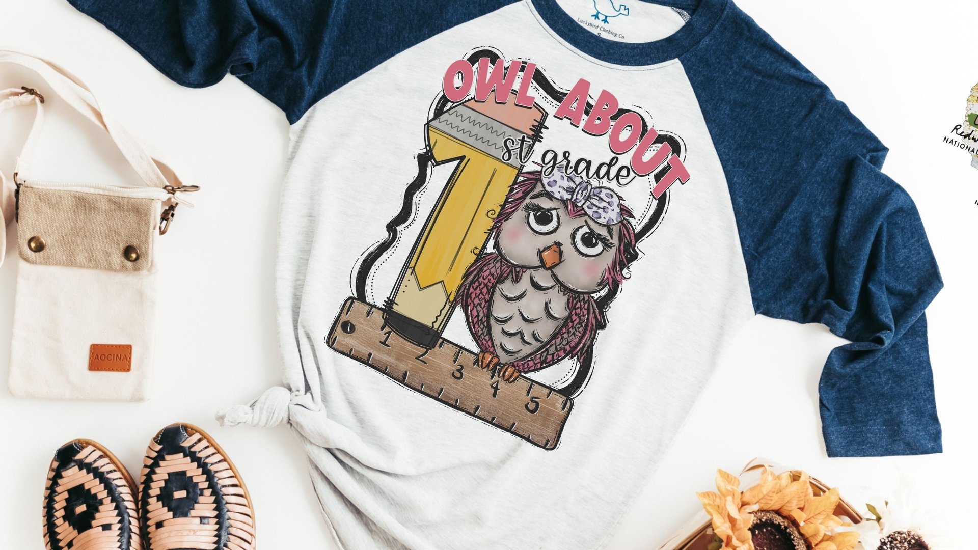 back to school gift for teachers, owl about 1st grade shirt, owl about 2nd grade tee, first day of school shirt for teacher, third grade owl