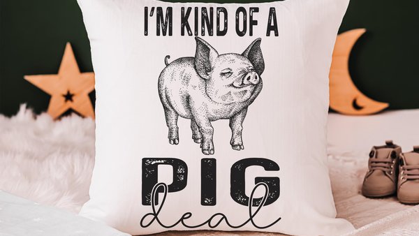 kind of a pig deal funny pig throw pillows for kids, encouraging classroom decor, whimsical pig gifts for girls, pig pillows for boys, farm