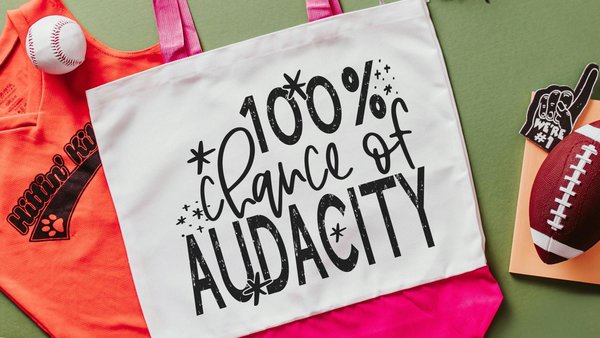 the audacity funny tote bag for women, reusable shopping bag, sarcastic gift for friends, sassy tote bag for summer, best friend birthday